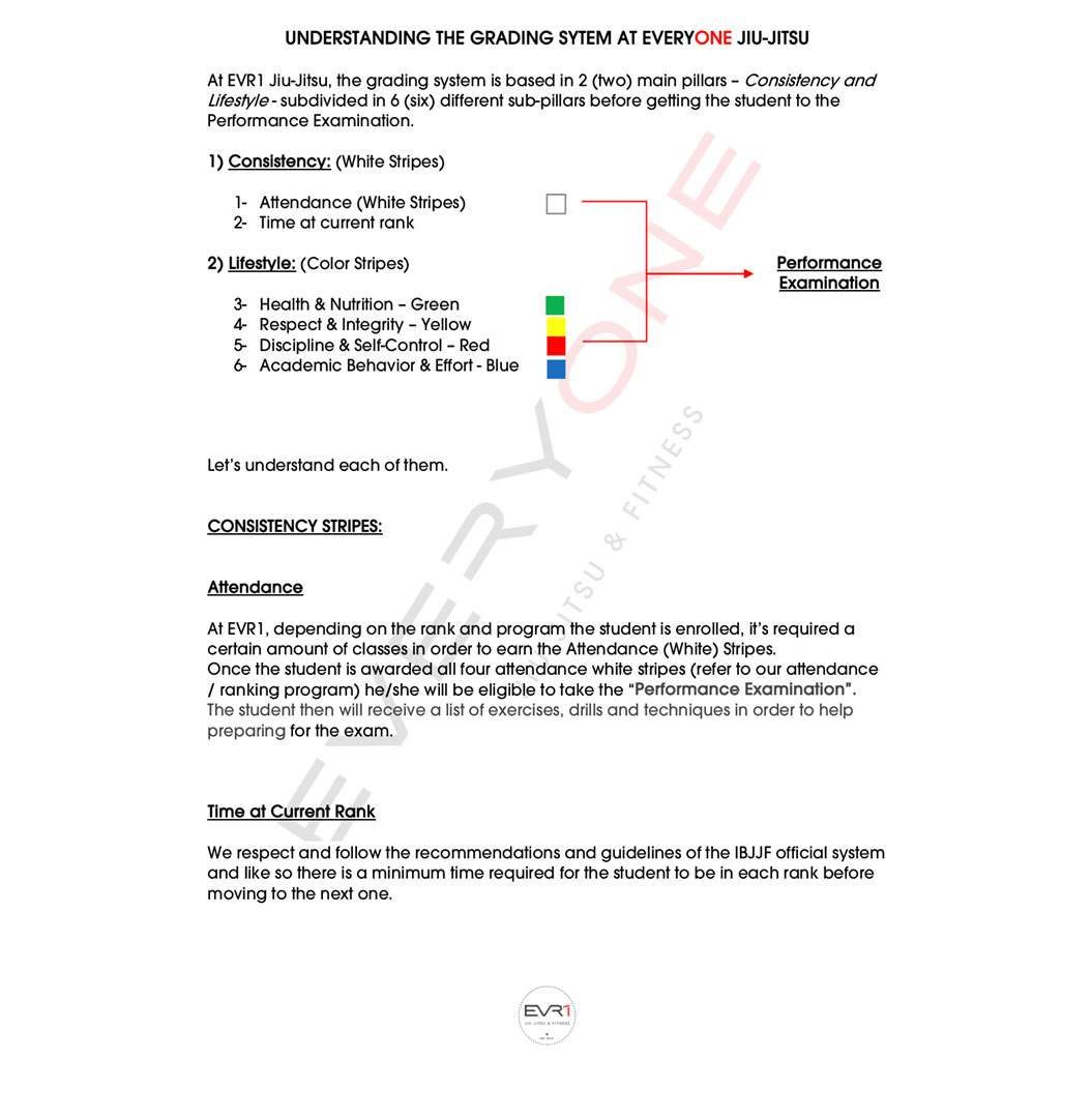 The EVR1 Youth Grading System | Everyone Jiu Jitsu