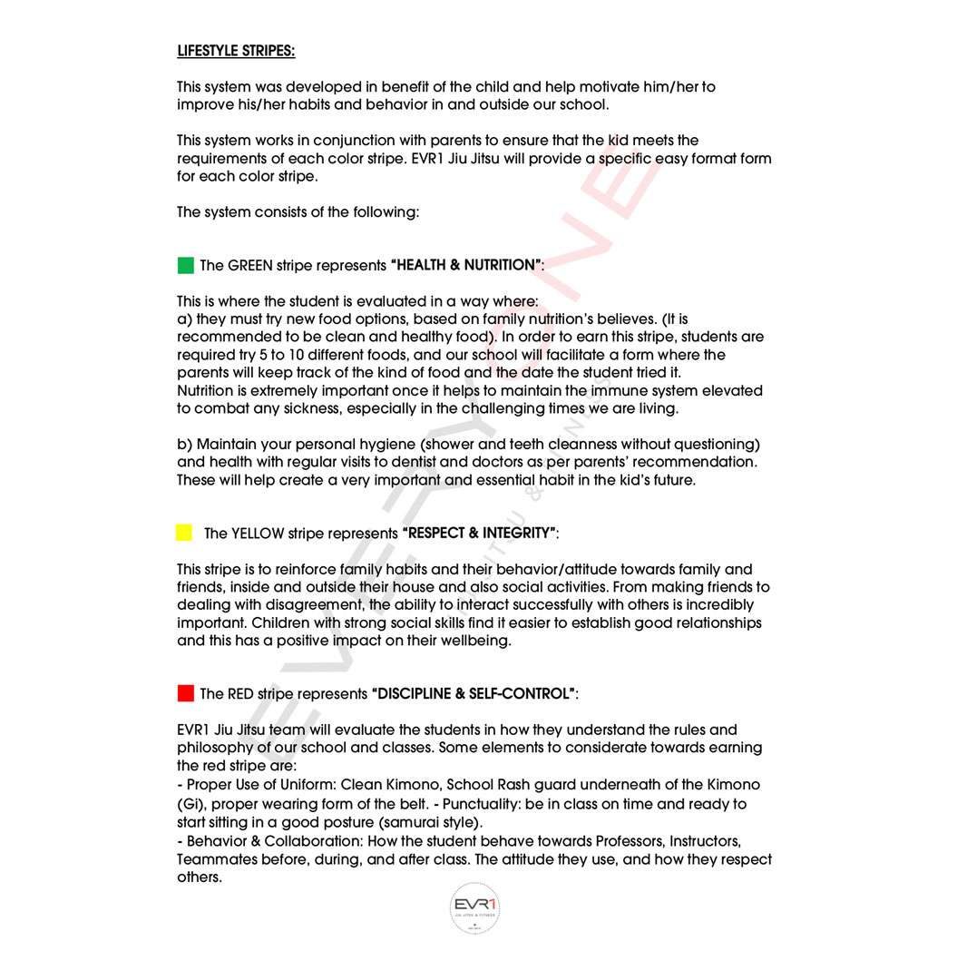 The EVR1 Youth Grading System | Everyone Jiu Jitsu